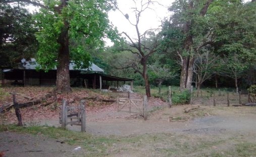 Terreno a Florida de Nicoya, Provincia di Guanacaste, Costa Rica 1