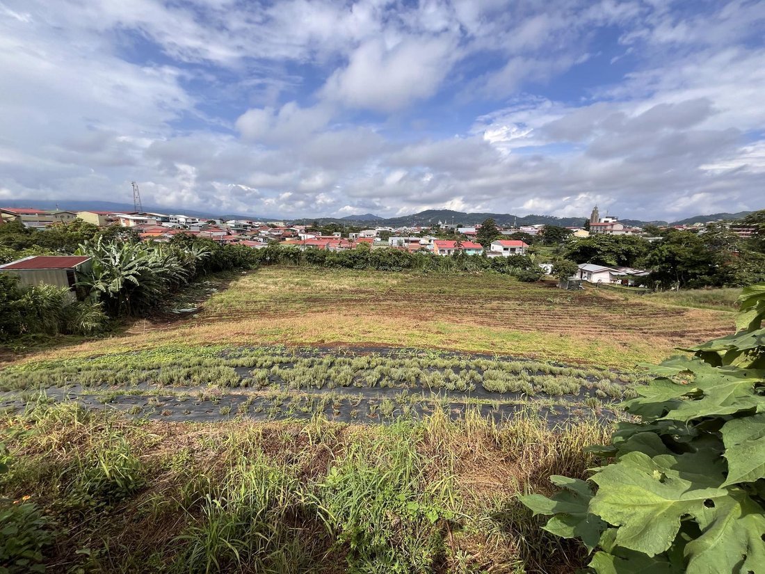 Land in San Ramón de los Palmares, Provinz Guanacaste, Costa Rica 1 - 18252314
