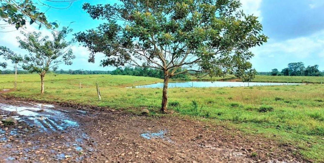 Farm Ranch in Guatuso, Los Chiles, Costa Rica 2 - 18252277