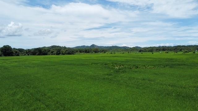Terreno a Quepos, Provincia di Puntarenas, Costa Rica 2 - 18252349