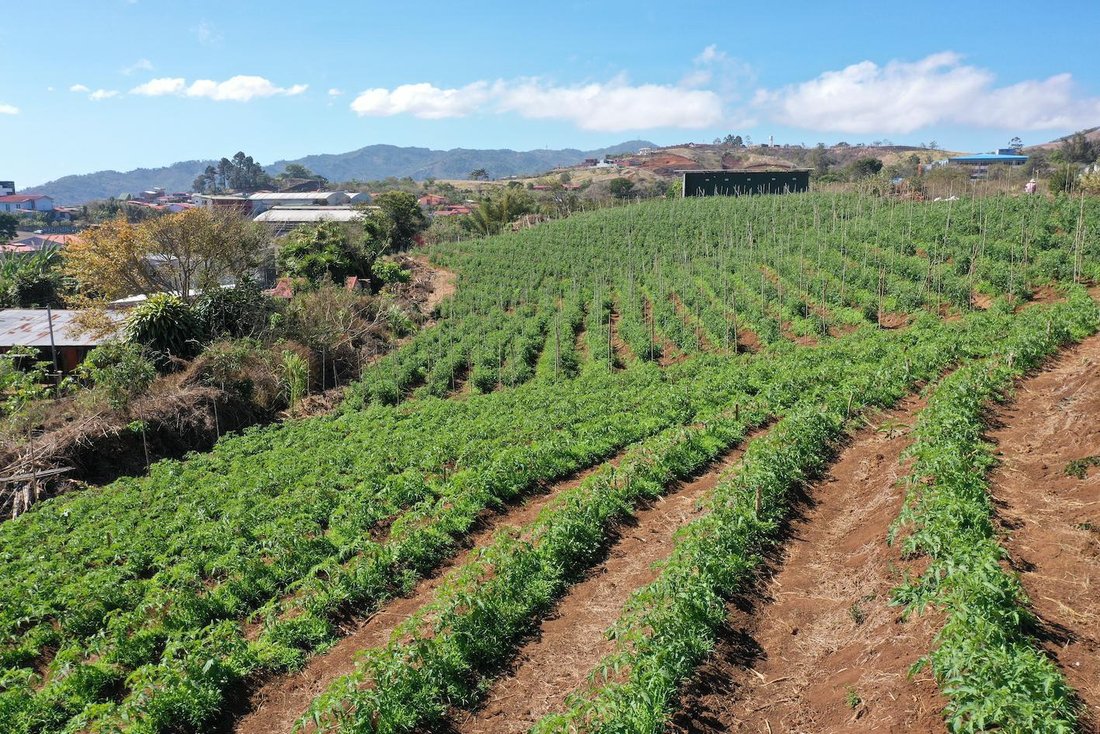 Land in San Ramón de los Palmares, Provinz Guanacaste, Costa Rica 5 - 18252314