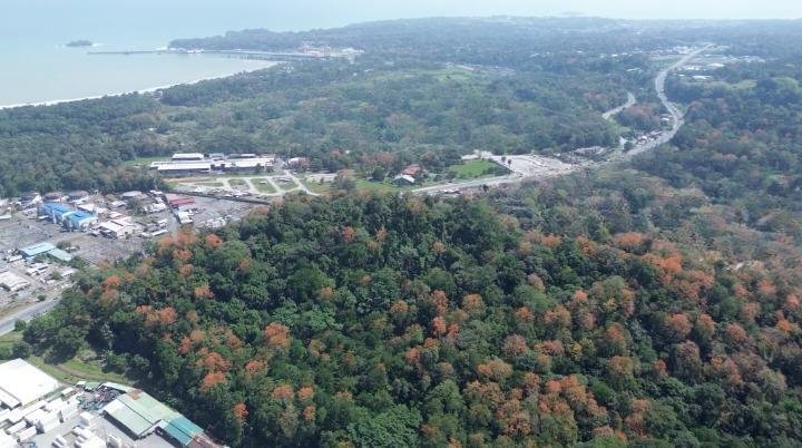 Terreno a Moín, Provincia di Limón, Costa Rica 4 - 18252307