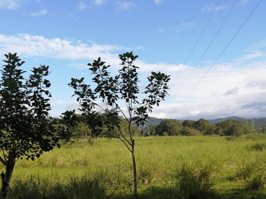 Azienda agricola a Cantone di Upala, Provincia di Alajuela, Costa Rica 4 - 18252267