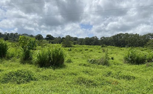Terreno en Upala, Provincia de Alajuela, Costa Rica 1