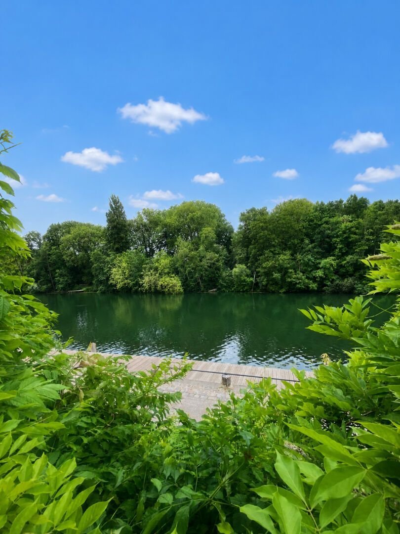 House in Samois-sur-Seine, Ile-de-France, France 4 - 18251146