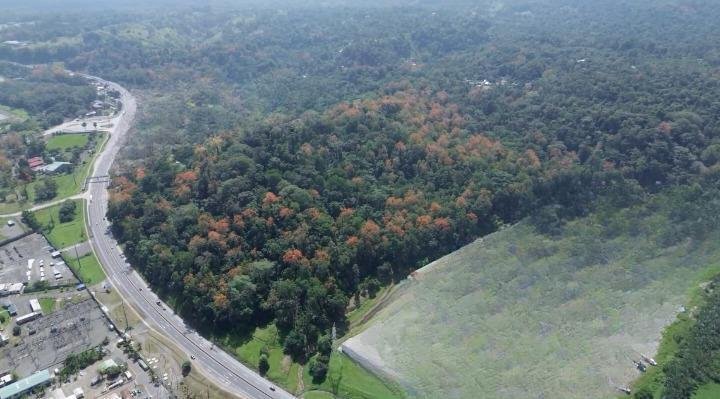 Terreno a Moín, Provincia di Limón, Costa Rica 1 - 18252307