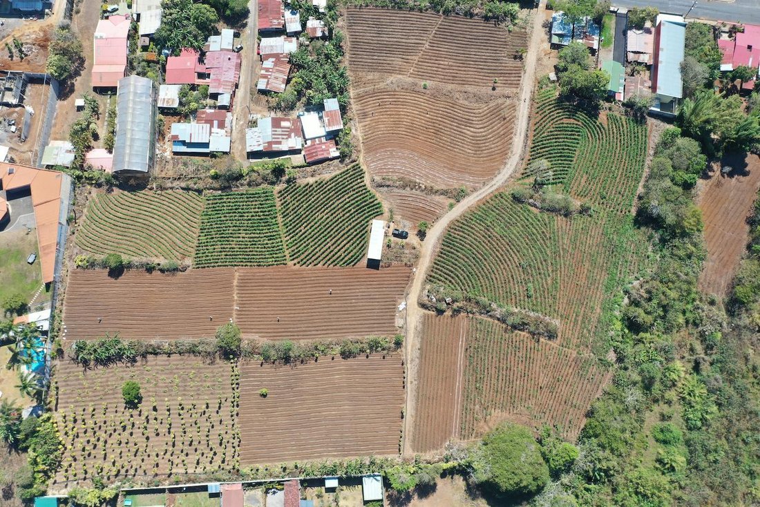 Land in San Ramón de los Palmares, Provinz Guanacaste, Costa Rica 4 - 18252314