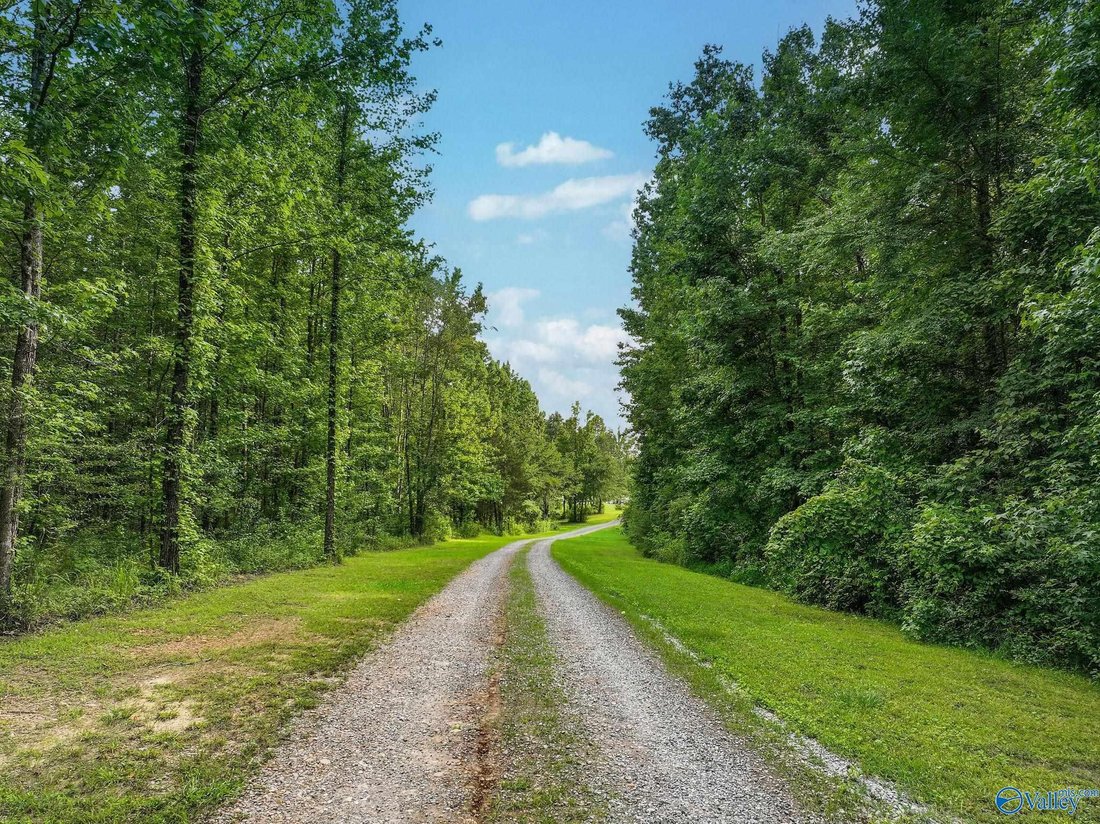 House in Arab, Alabama, United States 3 - 18253926