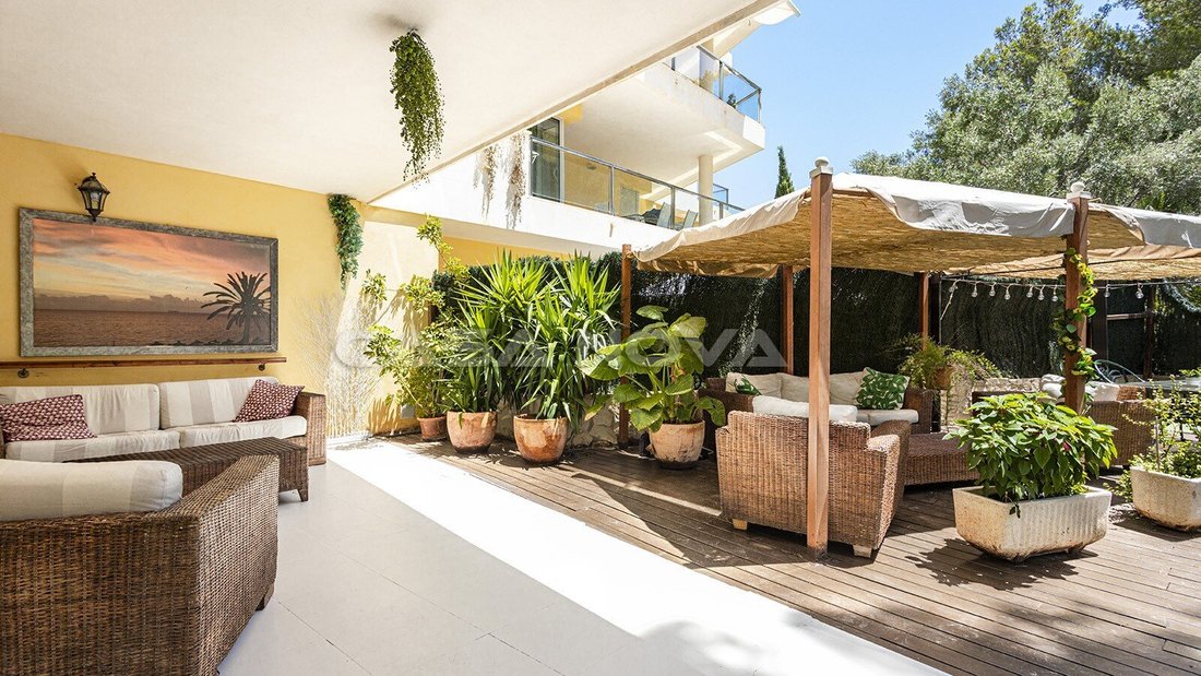 Apartment in Sol de Mallorca, Calvia, Balearic Islands 1 - 18244823