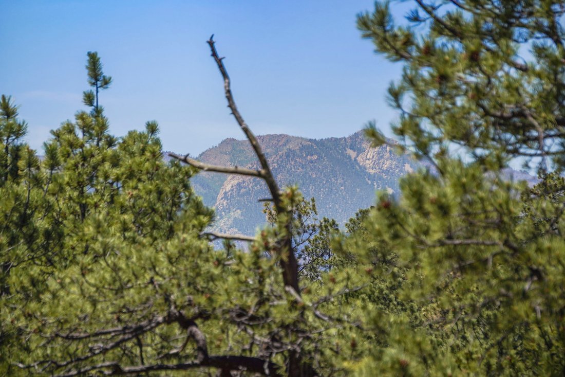 House in Colorado Springs, Colorado, United States 4 - 18252854