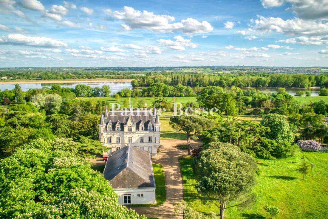 Castle in Centre, Angers, France 2 - 17139750