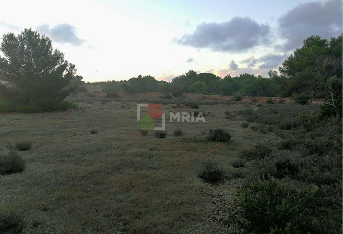 Land in Formentera, Balearic Islands, Spain 3 - 18241811
