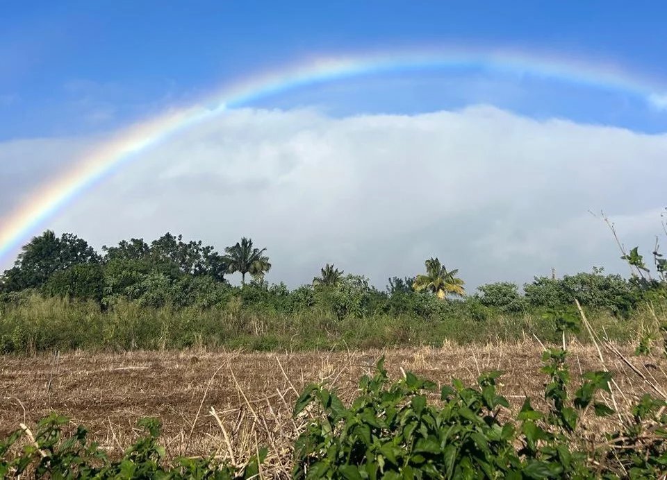 Land in Moka, Moka District, Mauritius 1 - 18252179