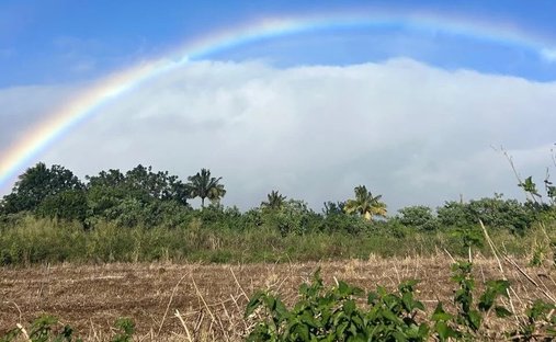 Land in Moka, Moka District, Mauritius 1