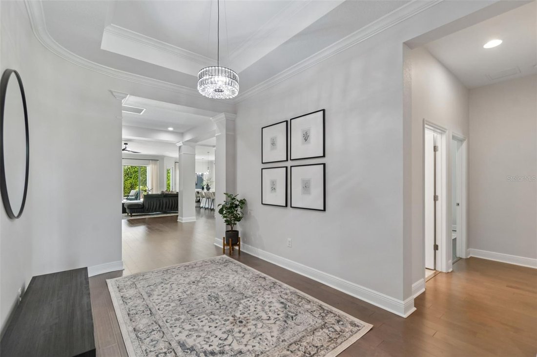 House in Land O' Lakes, Florida, United States 4 - 18254533