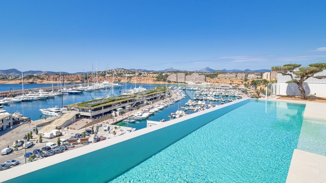 Villa in Calvia, Balearic Islands, Spain 4 - 18244028