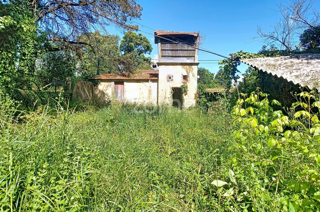 Finca in Oliveira de Azemeis, Santiago de Riba-Ul, Ul, Macinhata da Seixa e Madail, Aveiro District, Portugal 1 - 15289008