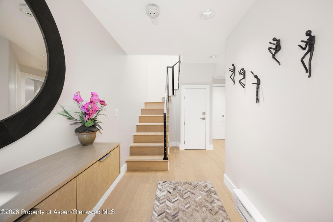 Condo in Aspen, Colorado, United States 1 - 18252957