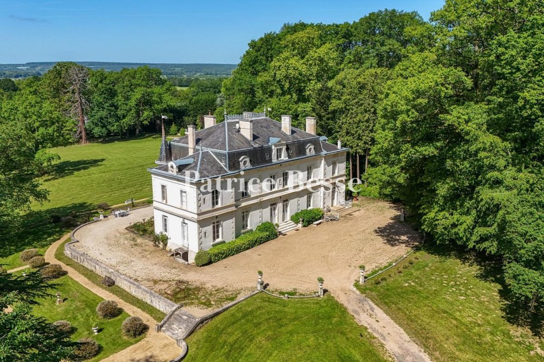 Castello a Quantilly, Centro-Val della Loira, Francia 3 - 18253601