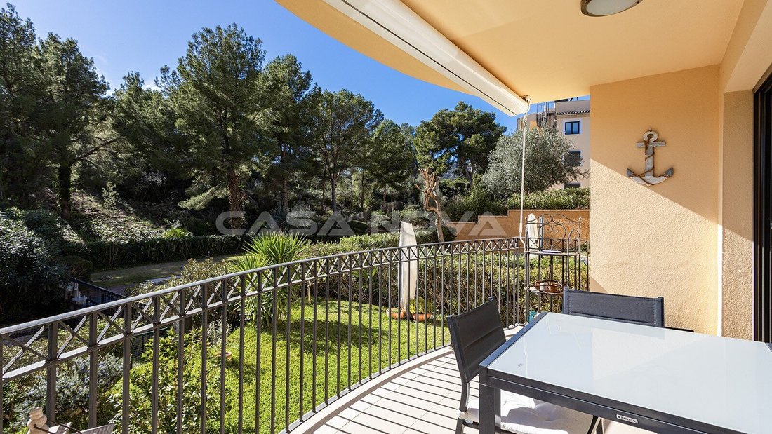 Apartment in Camp de Mar, Mallorca, Andratx, Balearic Islands 1 - 18244809