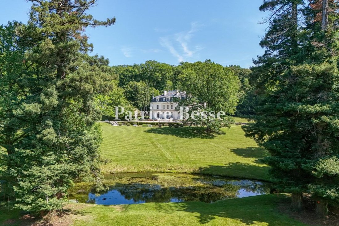 Castello a Quantilly, Centro-Val della Loira, Francia 2 - 18253601