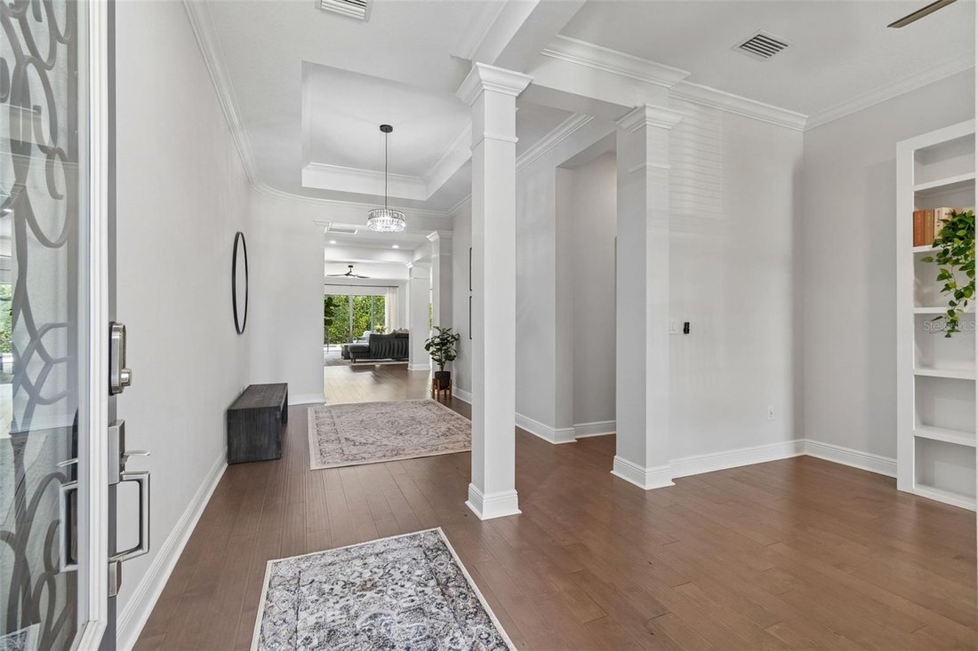 House in Land O' Lakes, Florida, United States 3 - 18254533