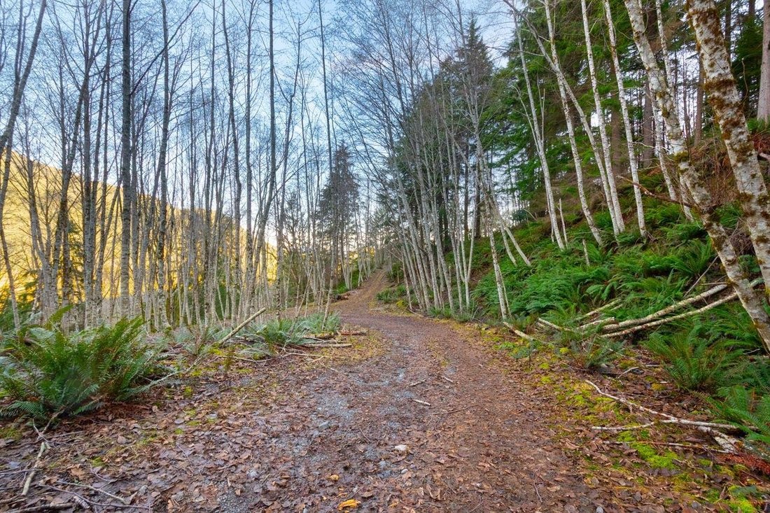 Land in Bowen Island, British Columbia, Canada 2 - 18257034