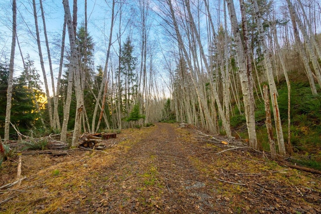 Land in Bowen Island, British Columbia, Canada 3 - 18257034