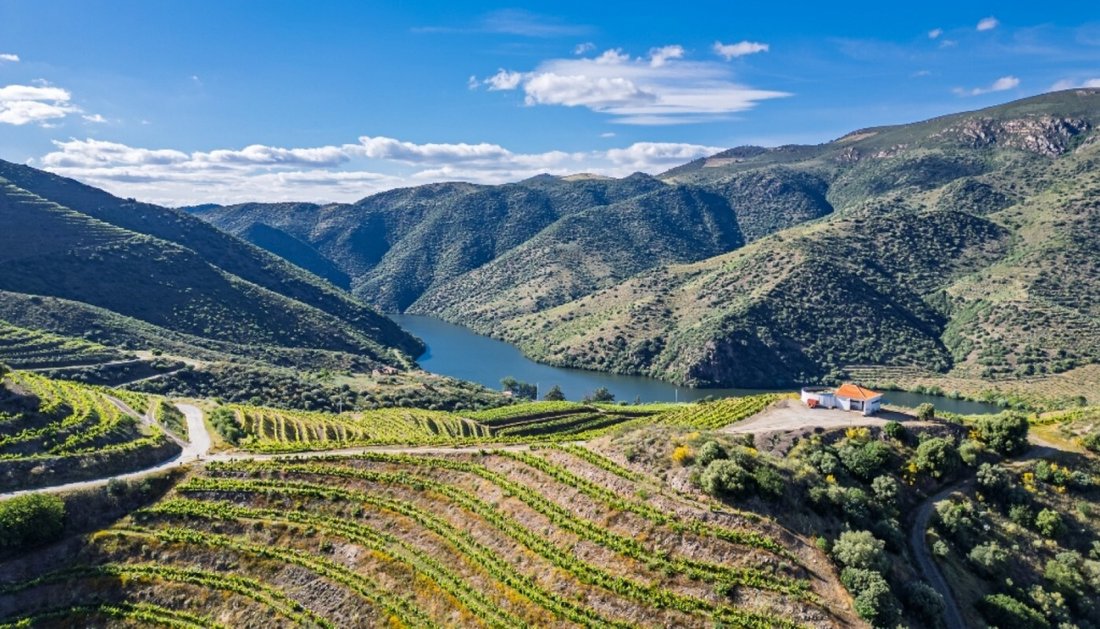 Farm Ranch in Vila Nova de Foz Coa, Guarda District, Portugal 5 - 18251797