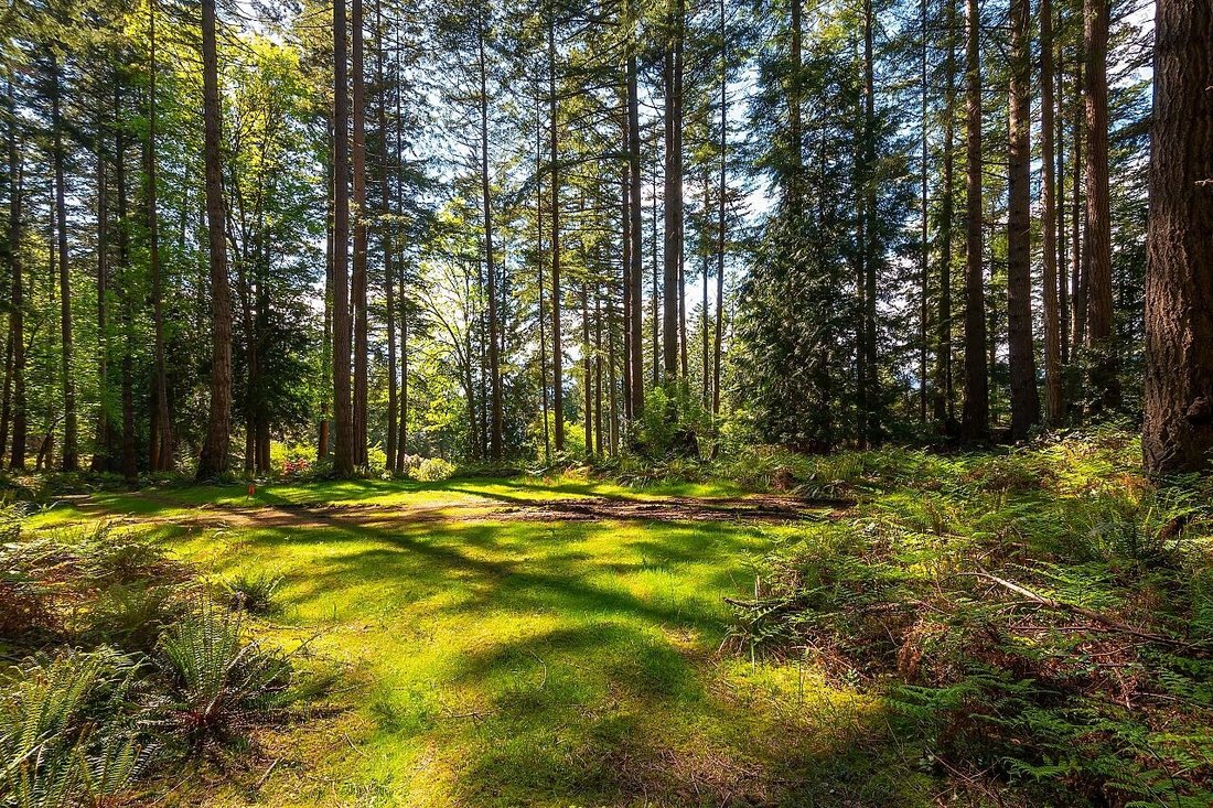 Land in Bowen Island, British Columbia, Canada 5 - 18257029