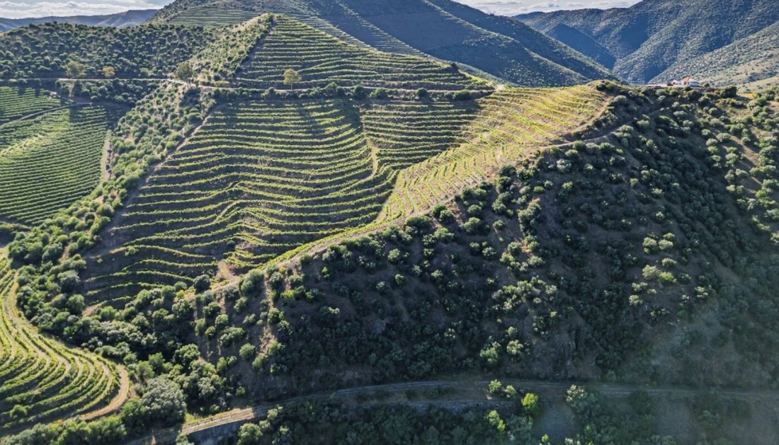 Farm Ranch in Vila Nova de Foz Coa, Guarda District, Portugal 4 - 18251797