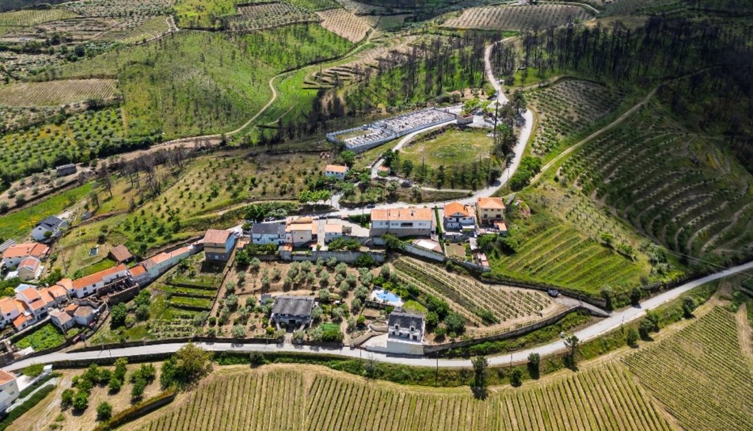 Farm Ranch in Cedovim, Guarda District, Portugal 3 - 18251776