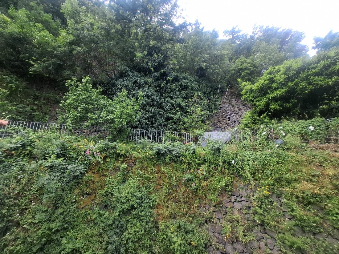 Villa a Ischia, Campania, Italia 1 - 15602718
