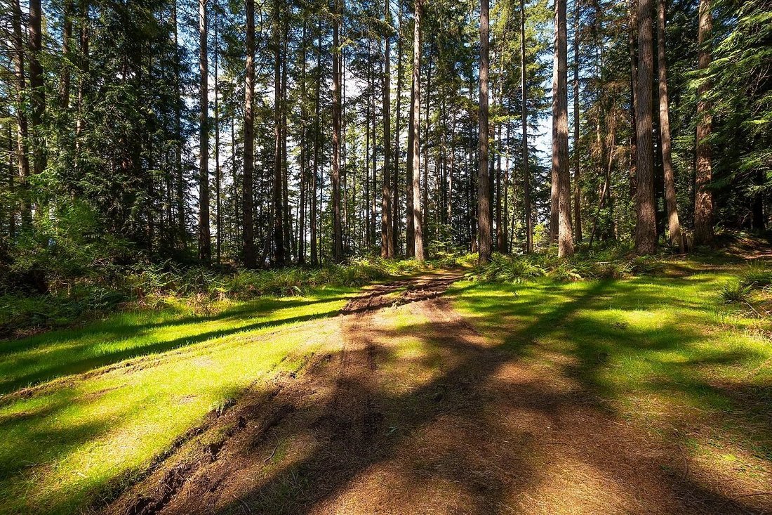 Land in Bowen Island, British Columbia, Canada 4 - 18257029