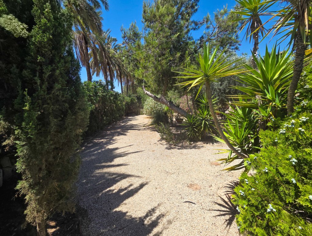 Villa in Elx / Elche, Valencian Community, Spain 5 - 18251396