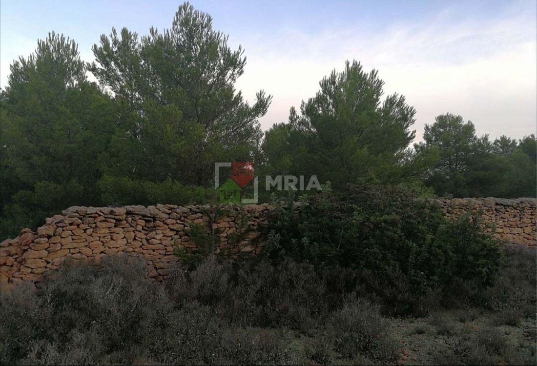 Land in Formentera, Balearic Islands, Spain 4 - 18241811