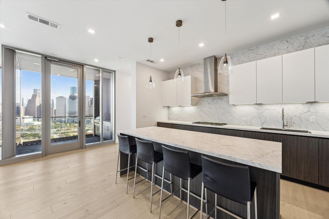 Condo in Houston, Texas, United States 4 - 18255369