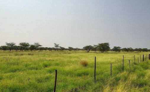 Farm Ranch in Otjiwarongo, Otjozondjupa Region, Namibia 1