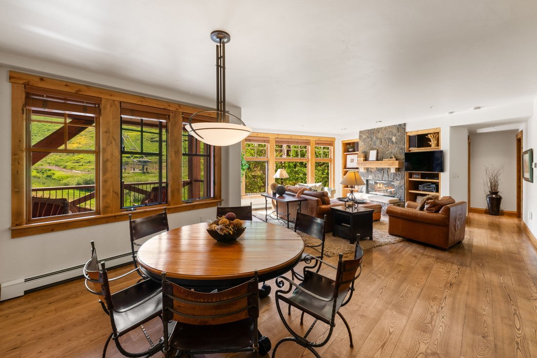 Condo in Crested Butte, Colorado, United States 4 - 17246646