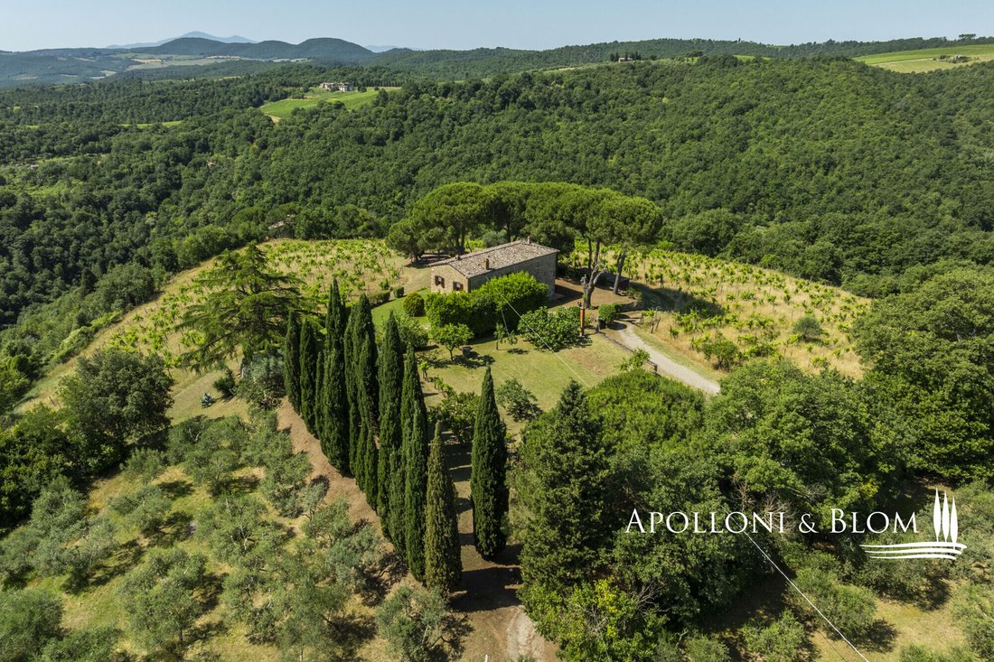 House in Sinalunga, Tuscany, Italy 2 - 18254621