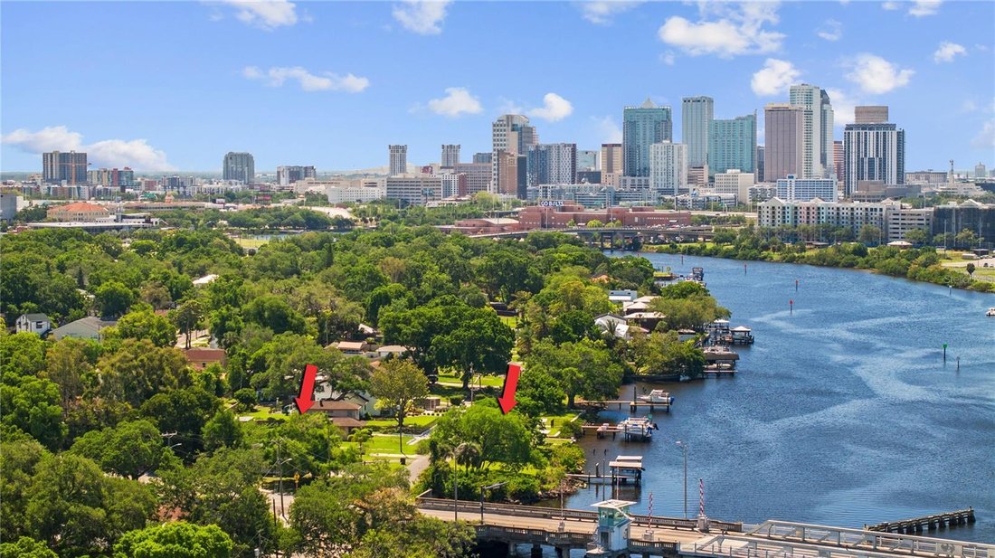 House in Tampa, Florida, United States 4 - 18254508