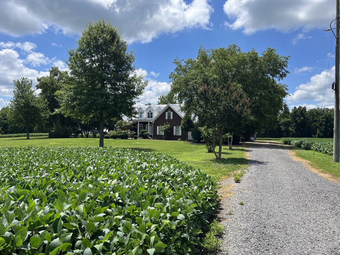 House in Hornbeak, Tennessee, United States 2 - 18255045