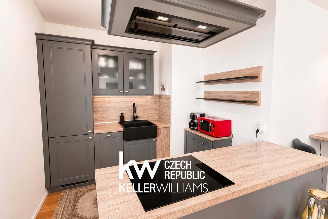 Apartment in Prague, Prague, Czechia 4 - 18254695