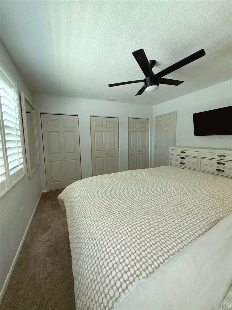 House in St. Petersburg, Florida, United States 5 - 18254517