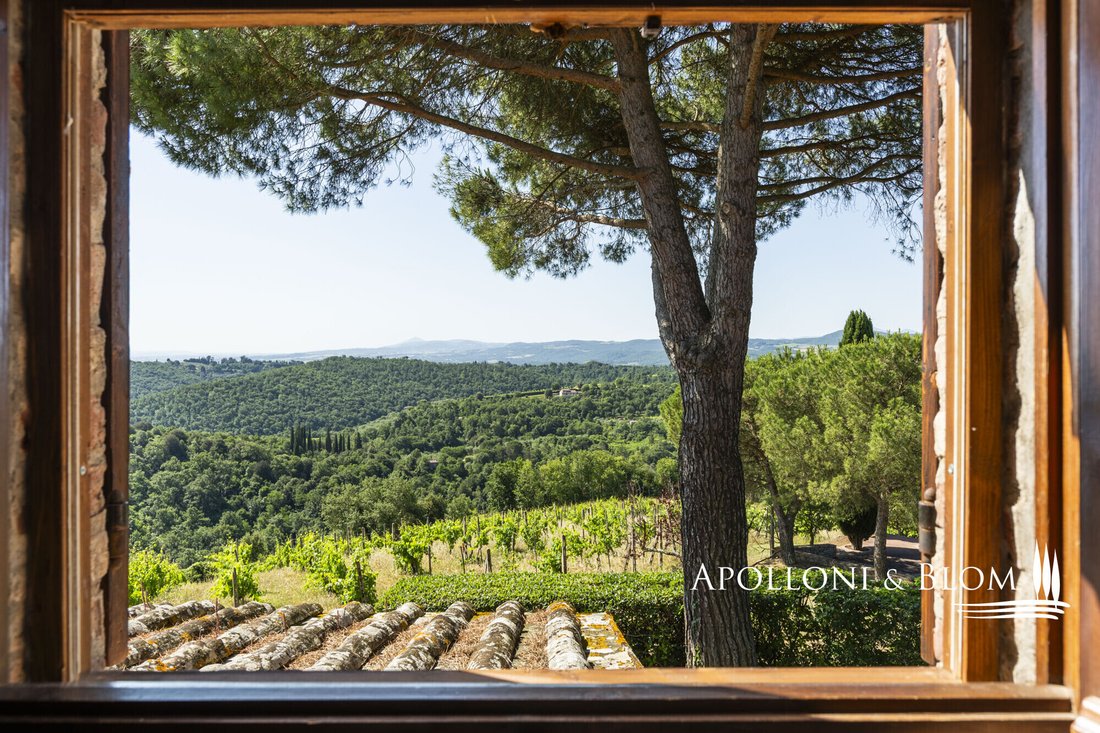 House in Sinalunga, Tuscany, Italy 5 - 18254621
