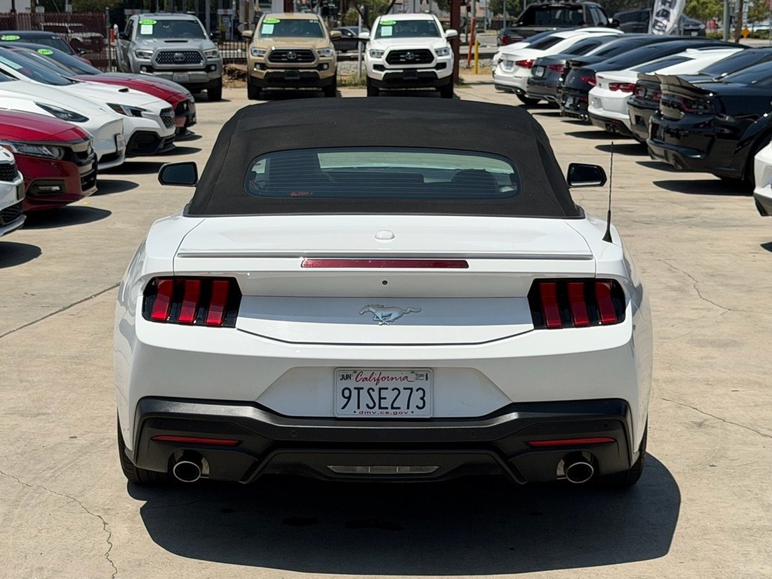 Cabriolet in Downey, CA, United States 5 - 18258134