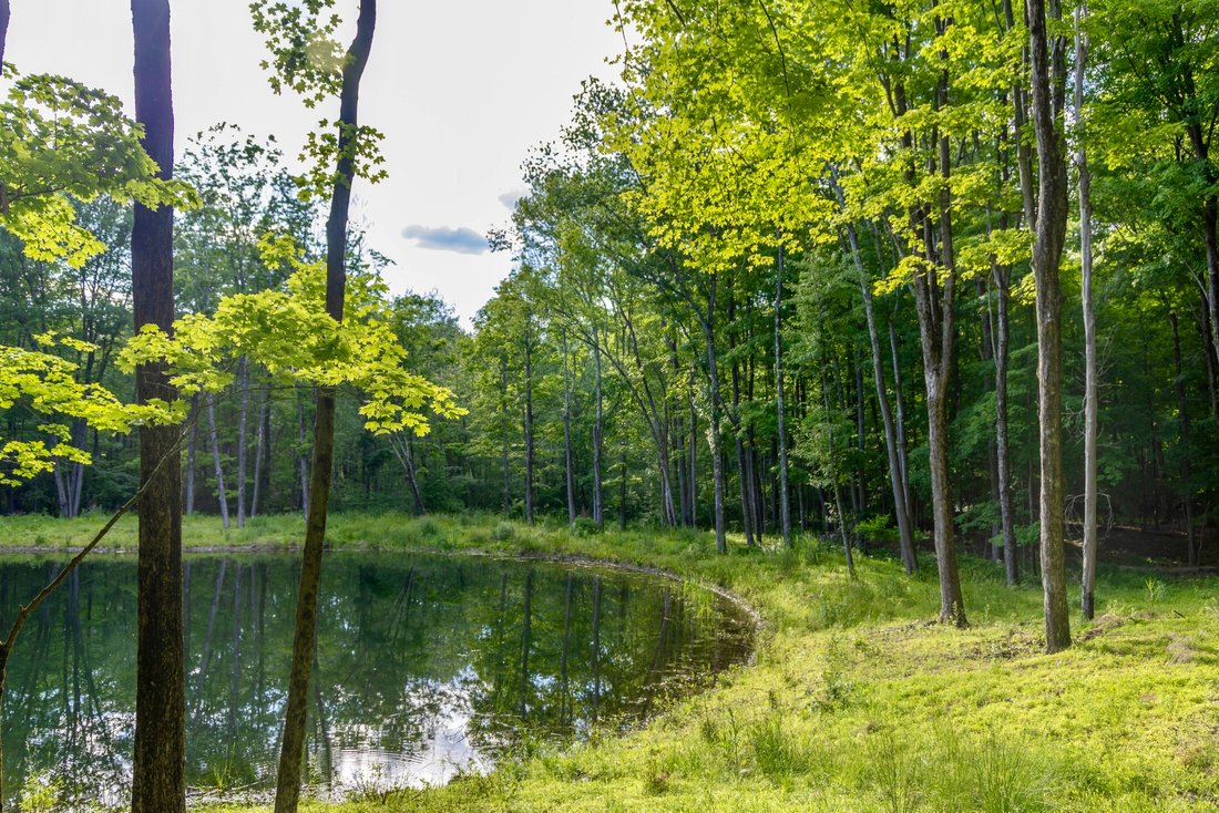 Land in Verbank, New York, United States 5 - 18258089