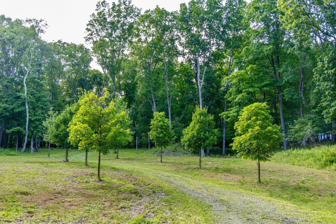 Land in Verbank, New York, United States 3 - 18258089