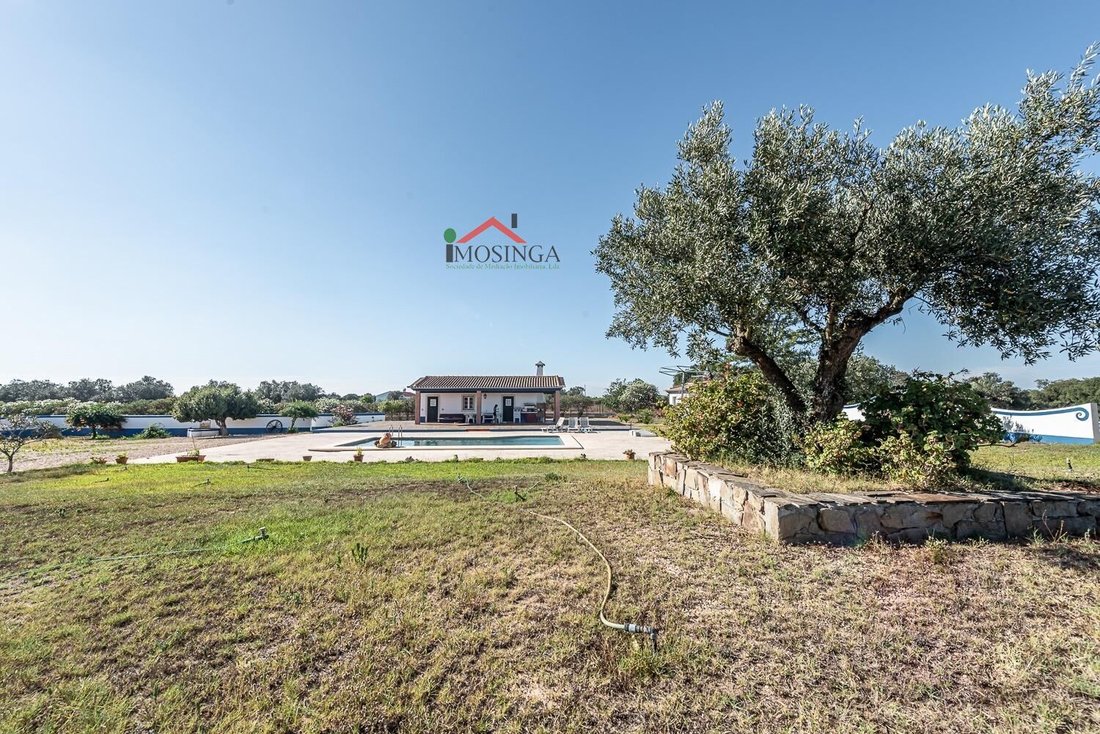 Country House in Ferreira do Alentejo e Canhestros, Beja District, Portugal 2 - 18257997