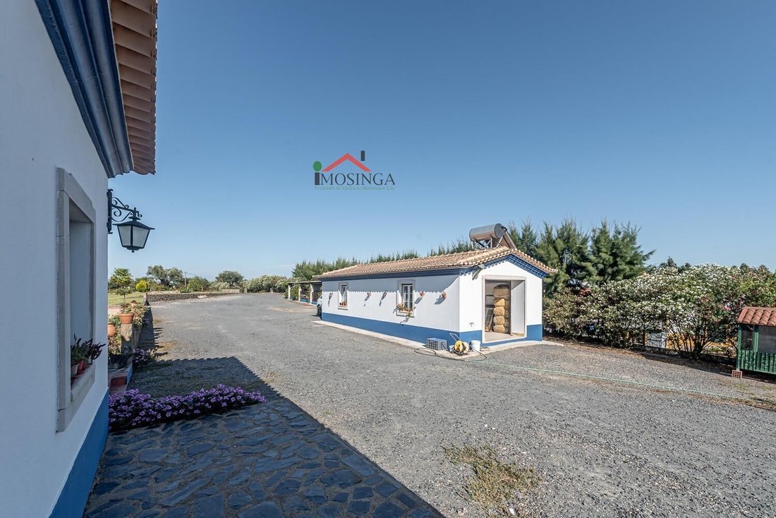 Country House in Ferreira do Alentejo e Canhestros, Beja District, Portugal 5 - 18257997